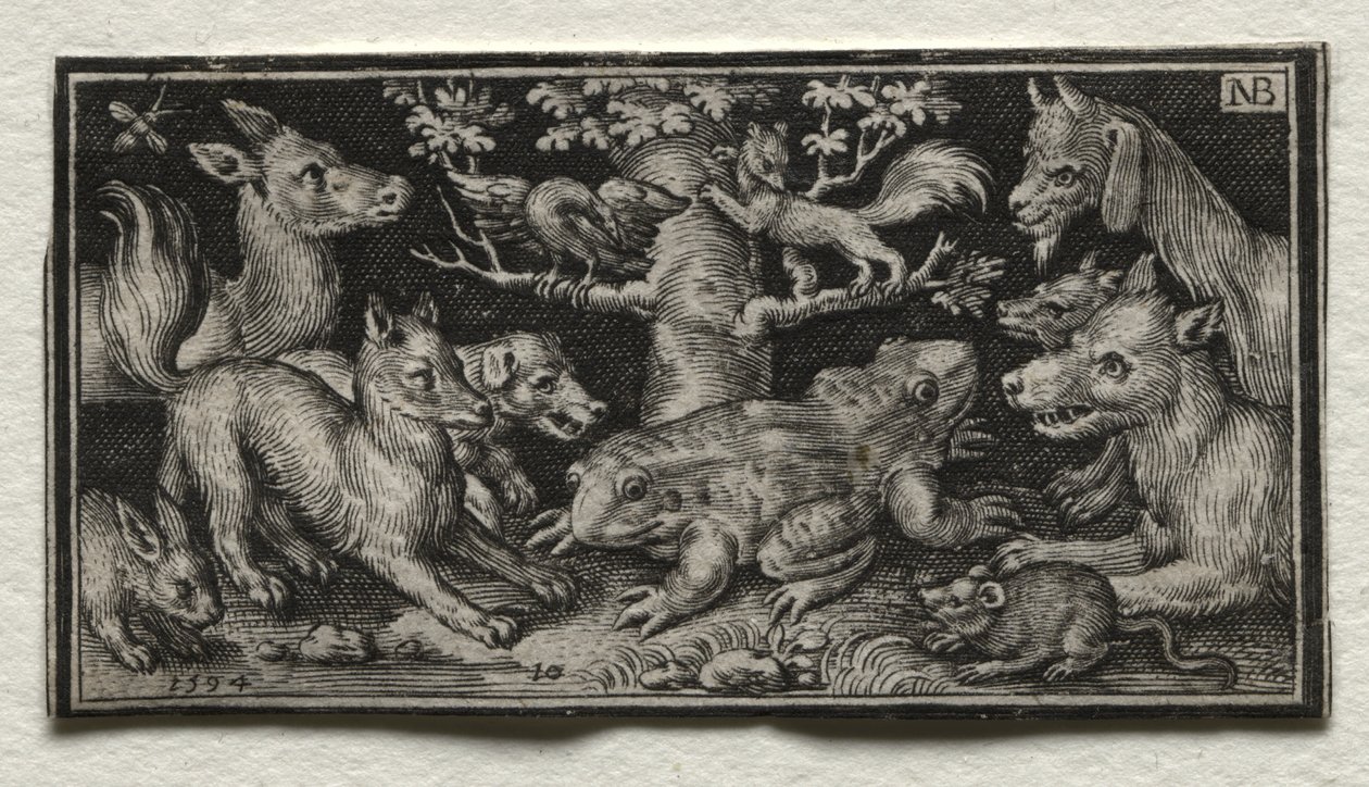 Rana de dos cabezas rodeada de animales de Nicolaes de Bruyn