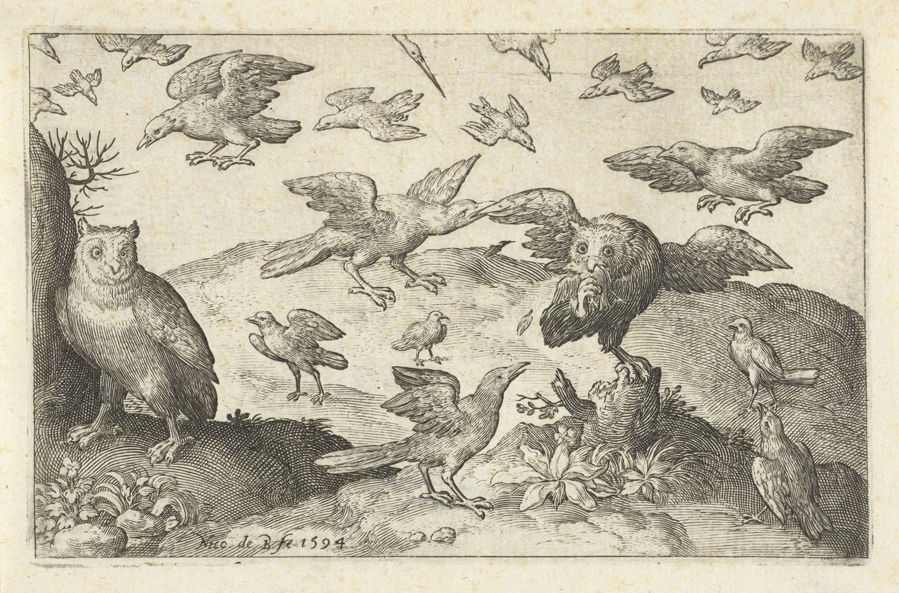 Búho con presa depredada por otras aves Pájaros e insectos (título de la serie) de Nicolaes de Bruyn