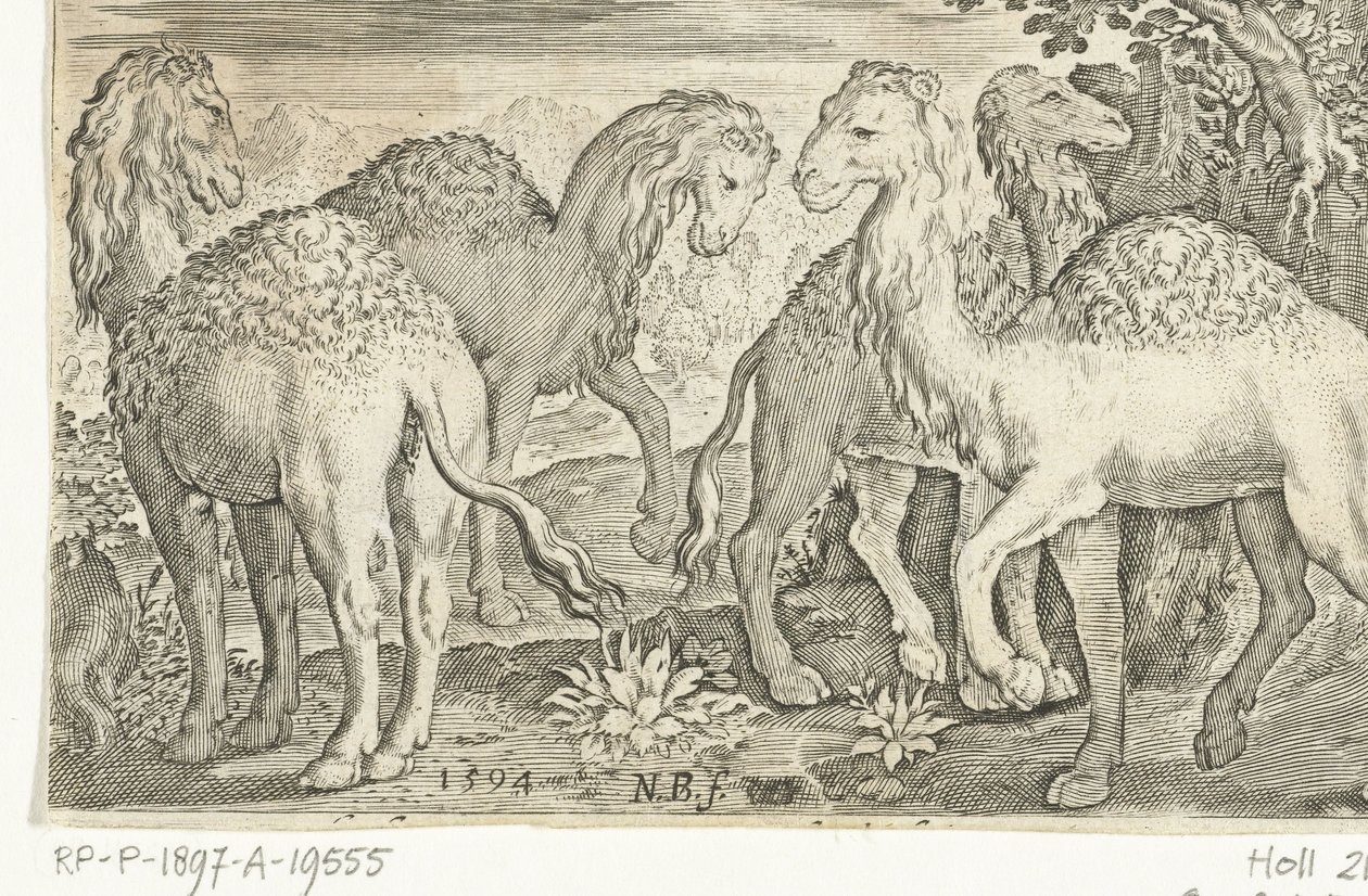 cuatro dromedarios Animalivm qvadrvpedvm (título de la serie) Animales en paisajes (título de la serie) de Nicolaes de Bruyn