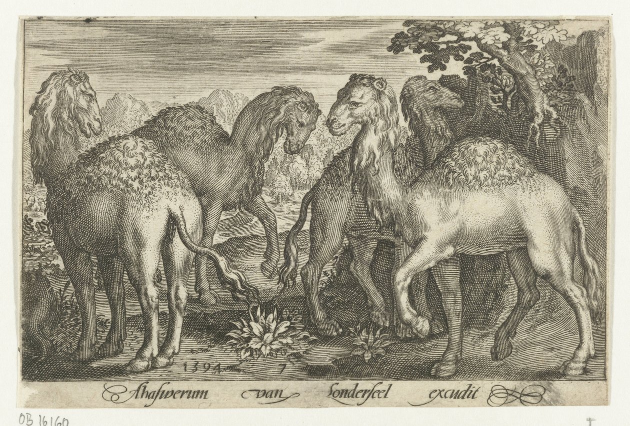 cuatro dromedarios Animalivm qvadrvpedvm (título de la serie) Animales en paisajes (título de la serie) de Nicolaes de Bruyn