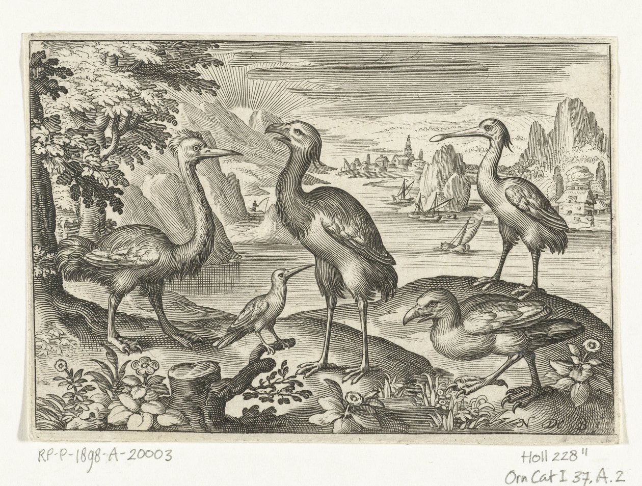 Cinco pájaros incluyendo espátula Pájaros e insectos (título de la serie) de Nicolaes de Bruyn