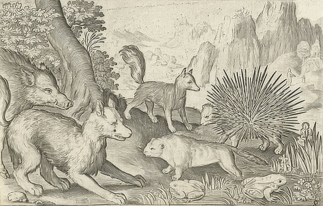 Jabalí, zorros, castores, puercoespín y ranas. 1621 de Nicolaes de Bruyn