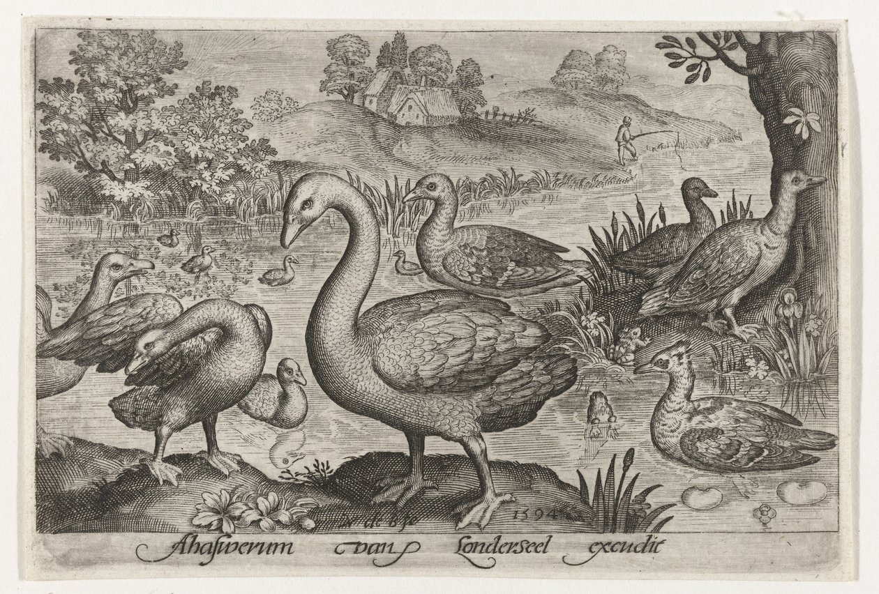 Cisnes y gansos y patos junto al agua Pájaros e insectos (título de la serie) de Nicolaes de Bruyn