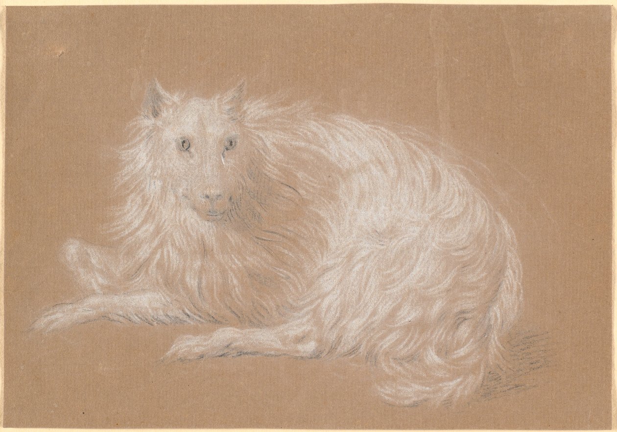 Un perro de pelo largo acostado de Nicolai Abildgaard