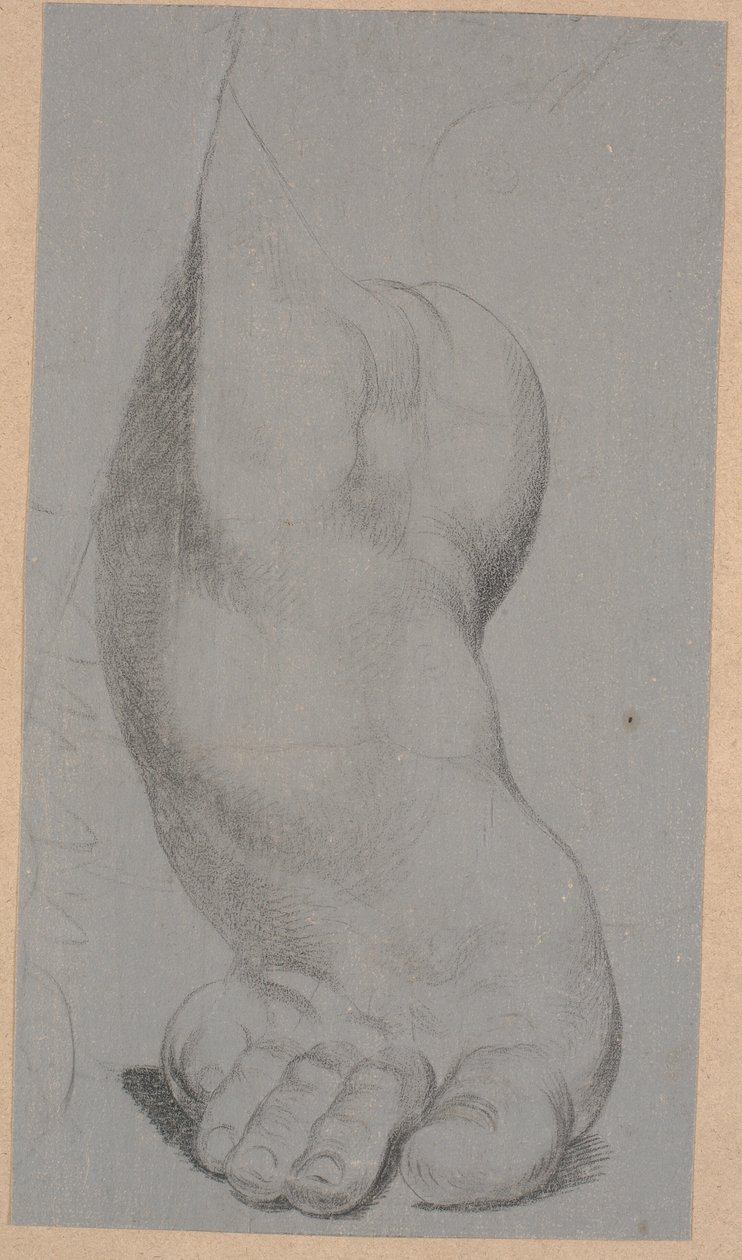 Estudio de un pie de Nicolai Abildgaard