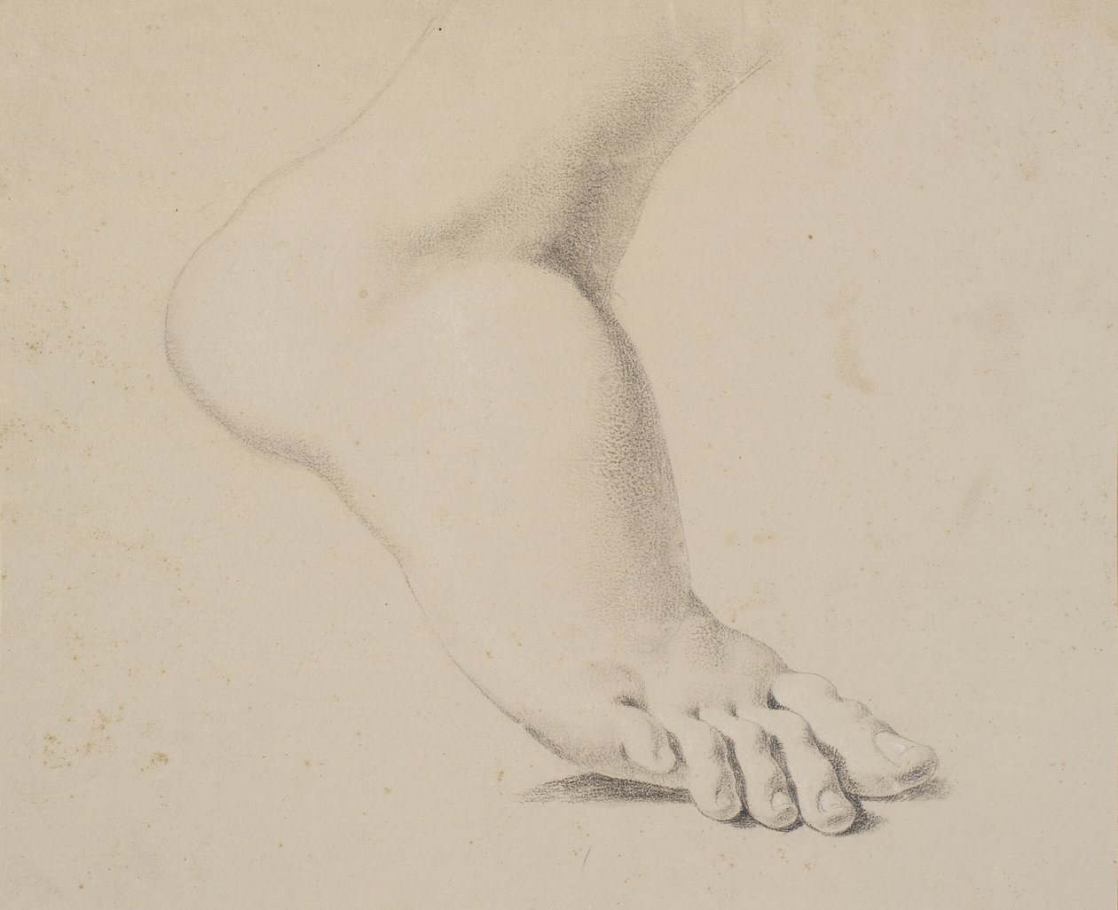Estudio de un pie de Nicolai Abildgaard