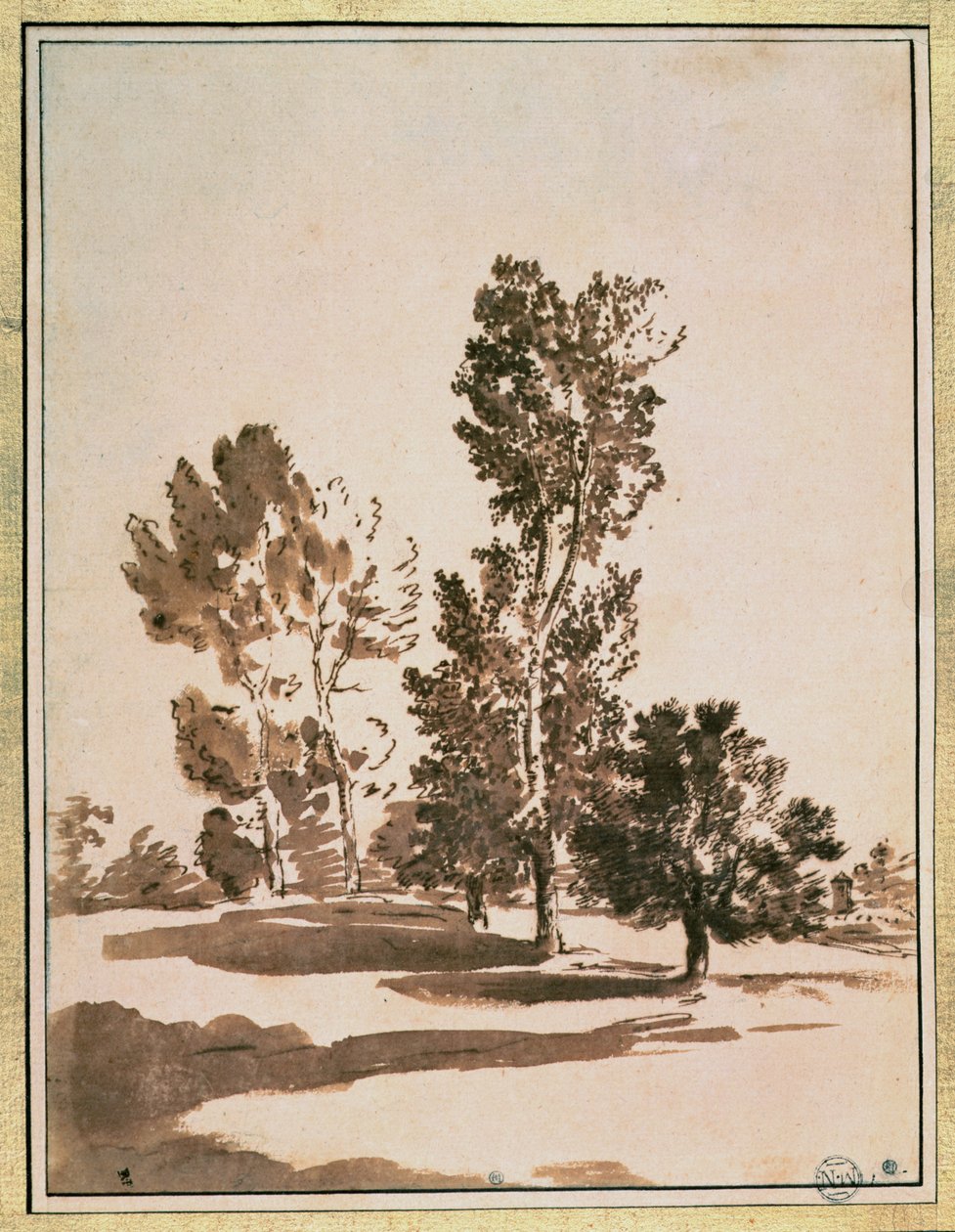 Estudio de árbol de Nicolas Poussin