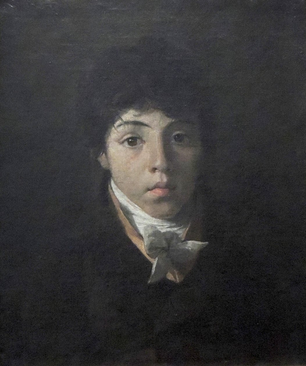 Retrato del joven Teodoro Taunay de Nicolas Antoine Taunay