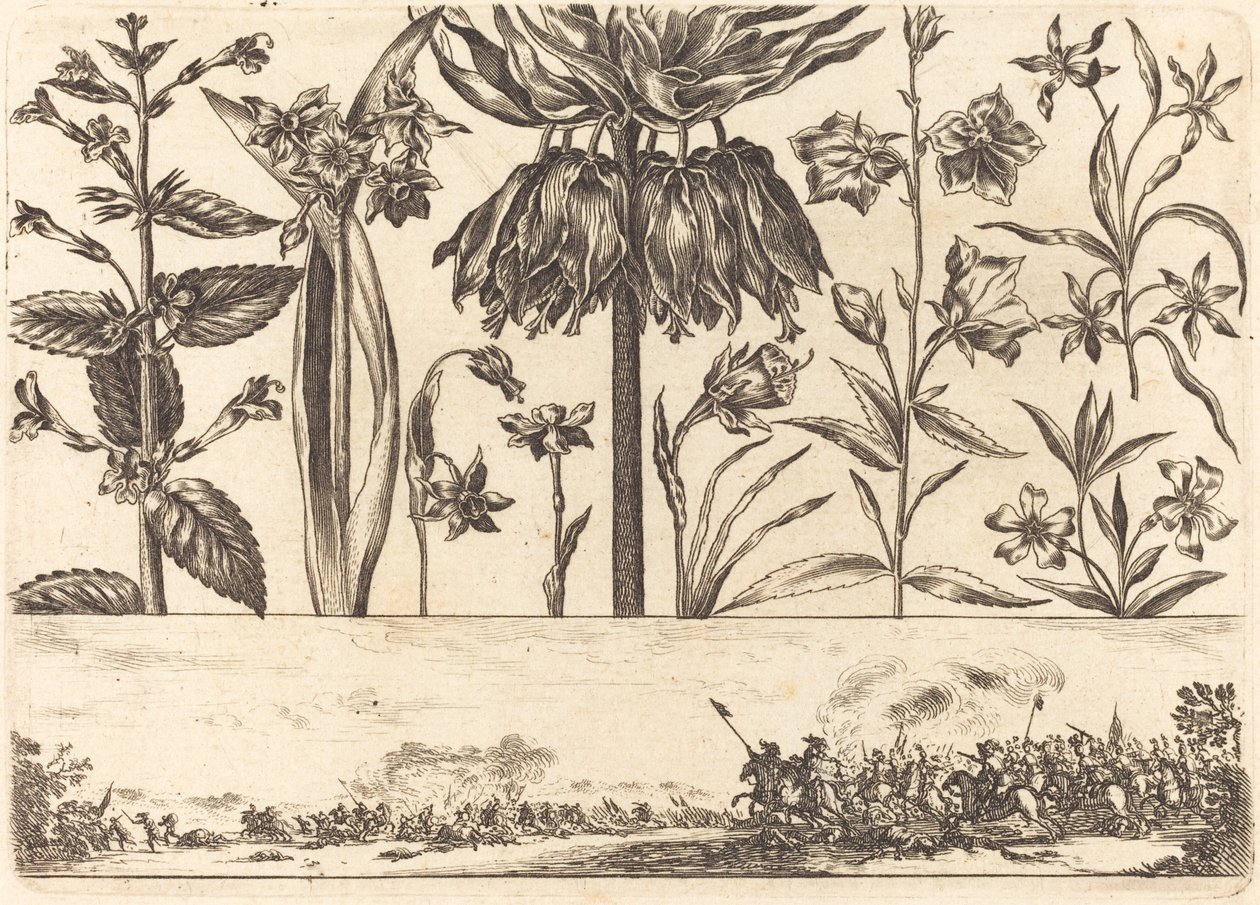Impresión de flores n.º 10 de Nicolas Cochin after Balthasar Moncornet