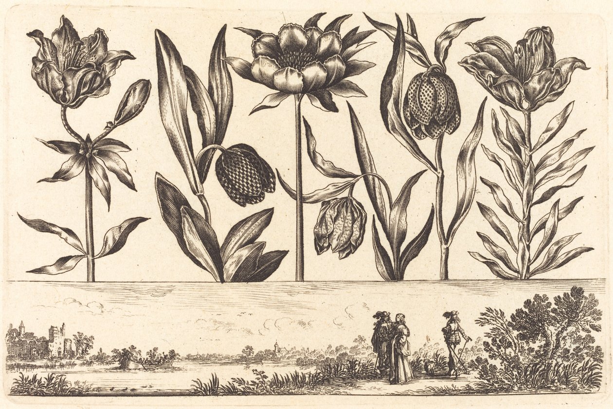 Impresión de flores n.º 11 de Nicolas Cochin after Balthasar Moncornet