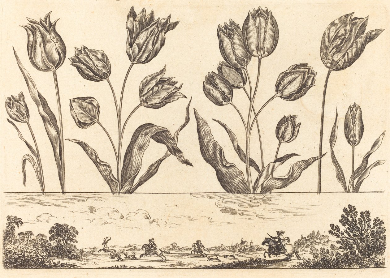 Impresión de Flores n.º 12 de Nicolas Cochin after Balthasar Moncornet
