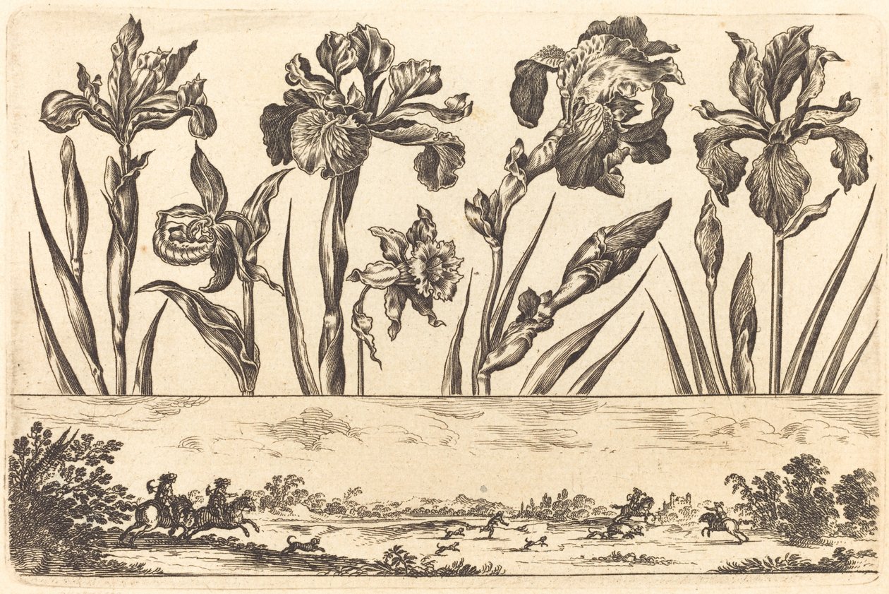 Impresión de flores n.º 3 de Nicolas Cochin after Balthasar Moncornet