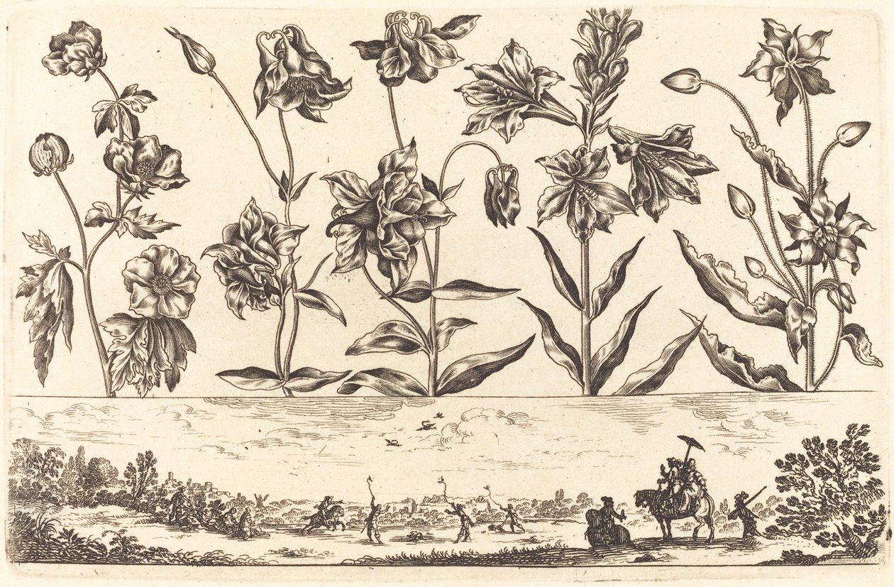 Impresión de flores n.º 6 de Nicolas Cochin after Balthasar Moncornet