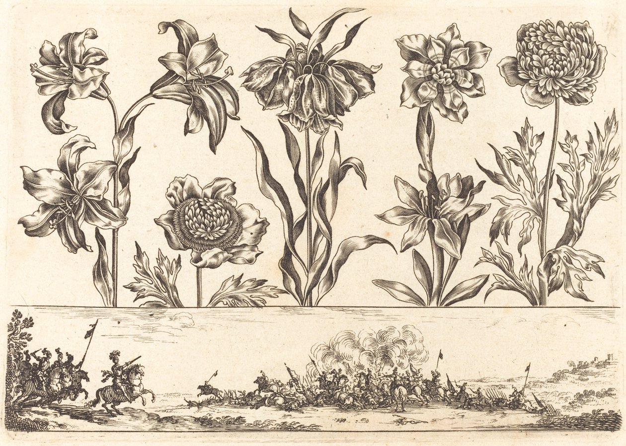 Impresión de Flores n.º 8 de Nicolas Cochin after Balthasar Moncornet