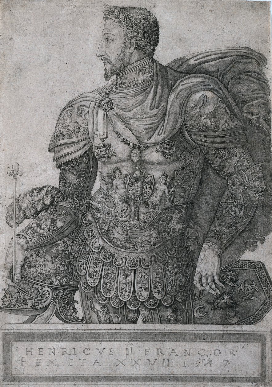 Enrique II, Rey de Francia, a la edad de 28 años de Nicolo della Casa