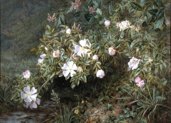 Un estudio de rosas silvestres, c.1900 de Niels Pieter Rasmussen