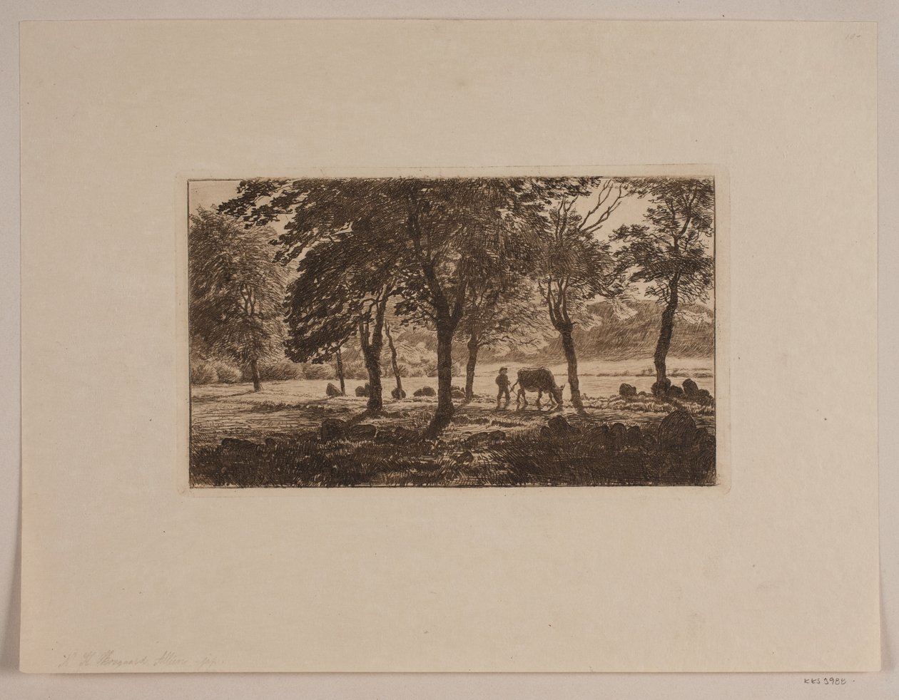 La avenida de Niels Skovgaard