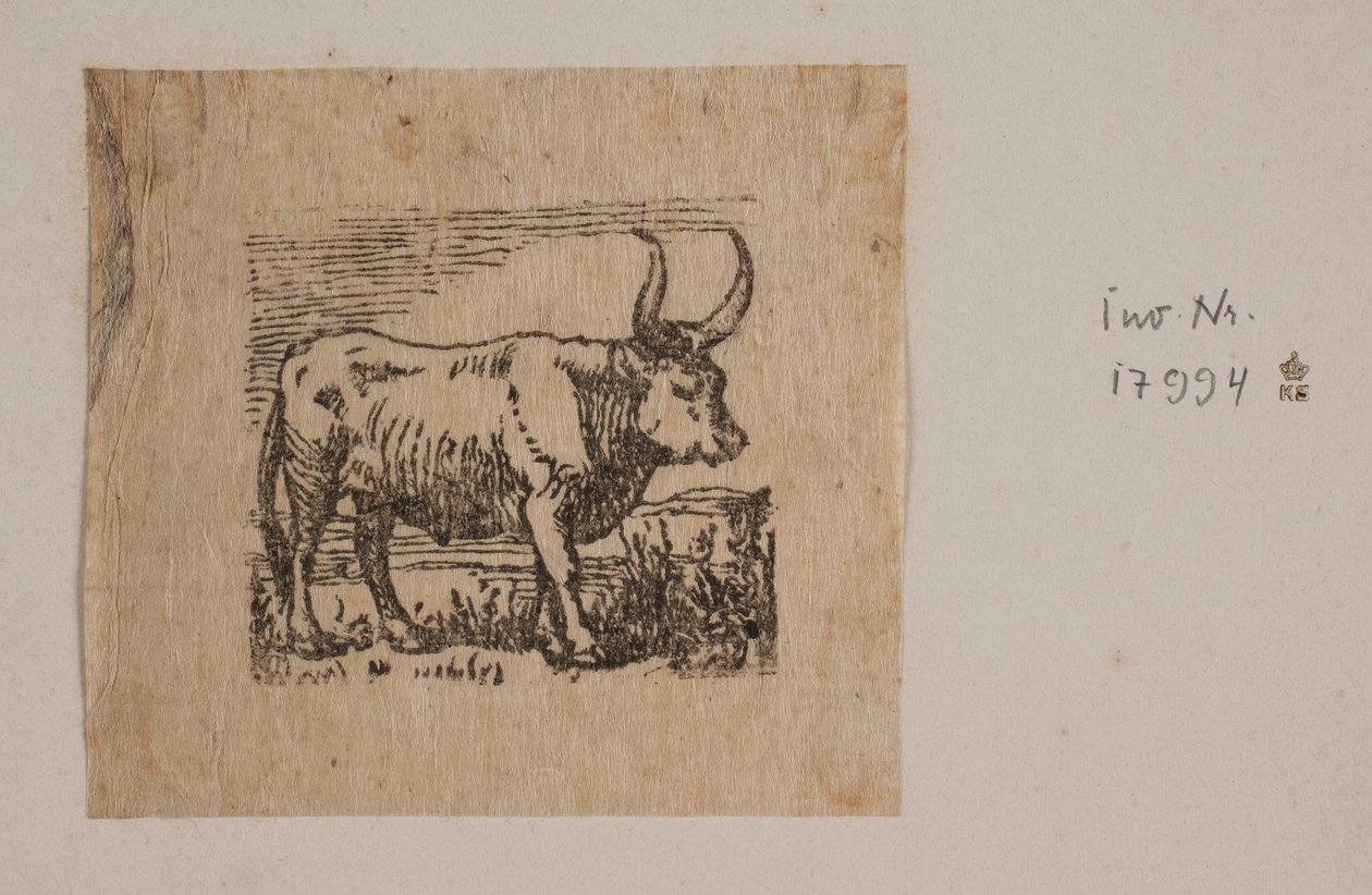 Un buey de Niels Skovgaard