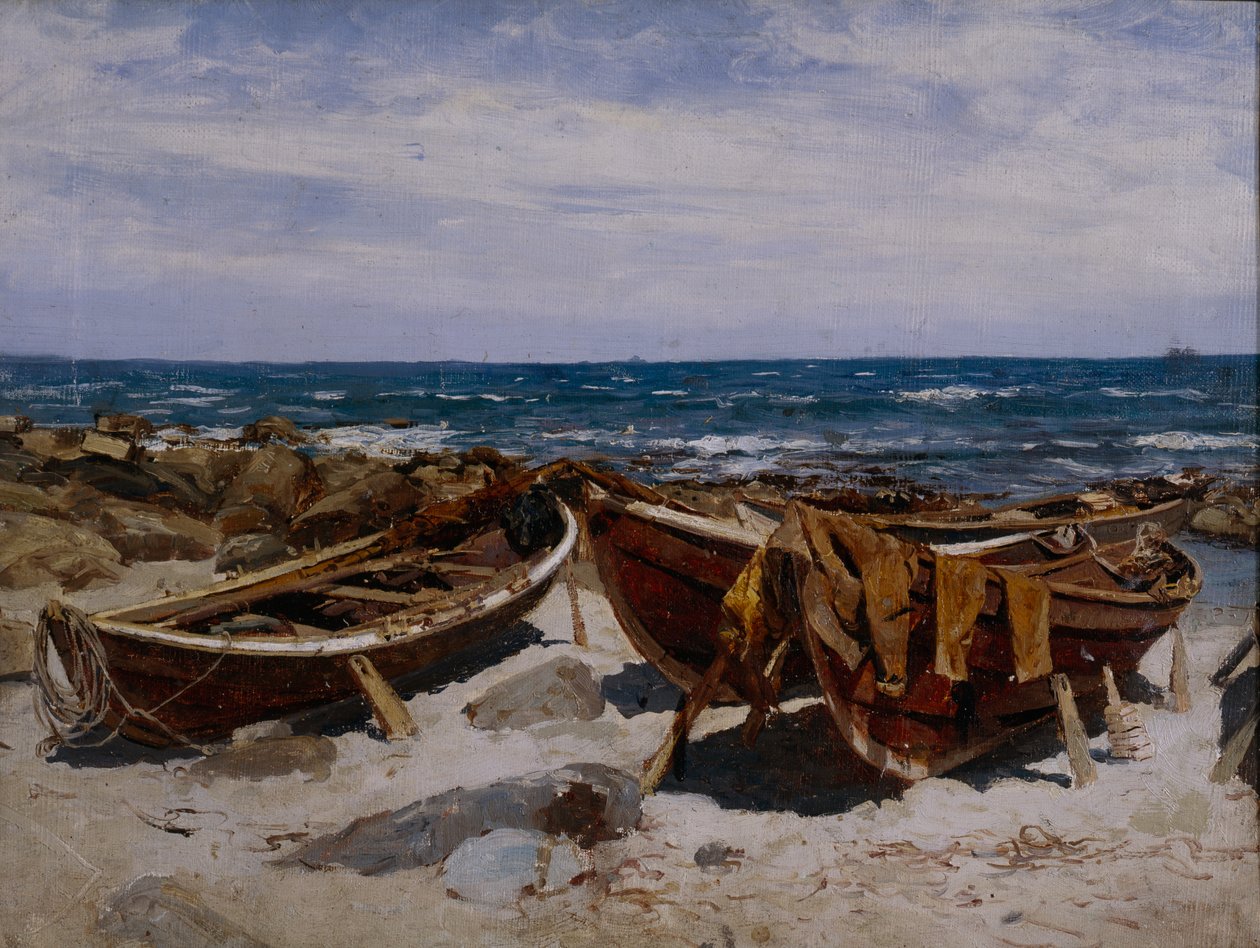 Estudio de Jaeren (óleo sobre lienzo) de Nikolai Martin Ulfsten
