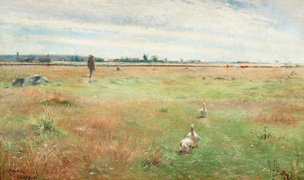 Paisaje con gansos, Morbylanga de Nils Kreuger