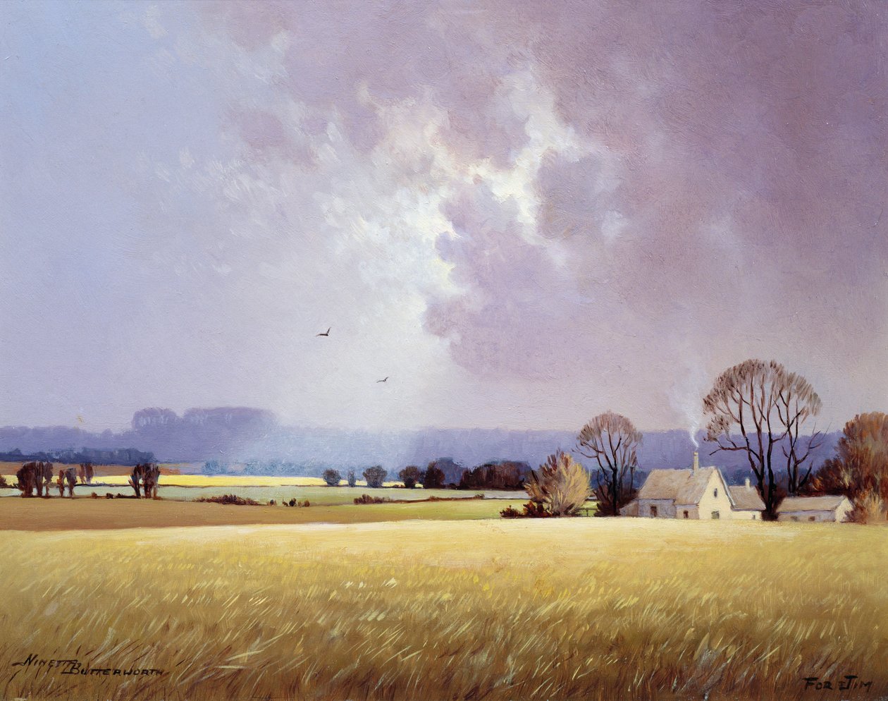 Luz solar de otoño, 1982 de Ninetta Butterworth
