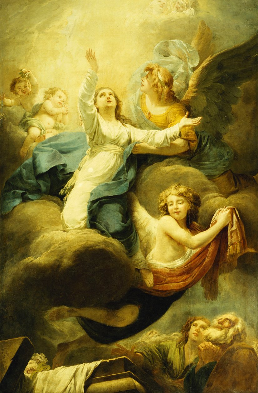La Asunción de la Virgen de Noel Halle