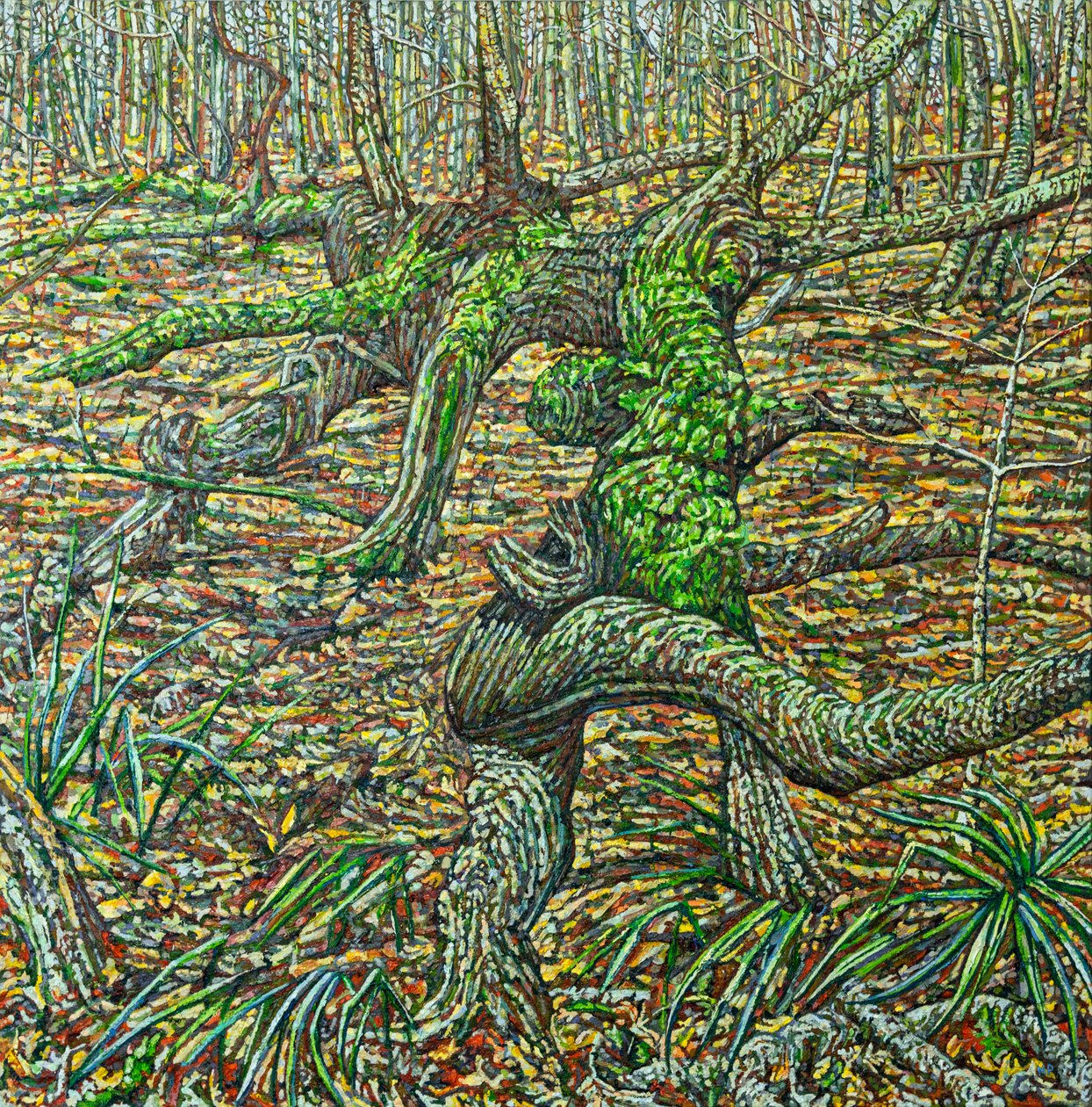 Herbst Tors, 2023 (óleo sobre lienzo) de Noel Paine