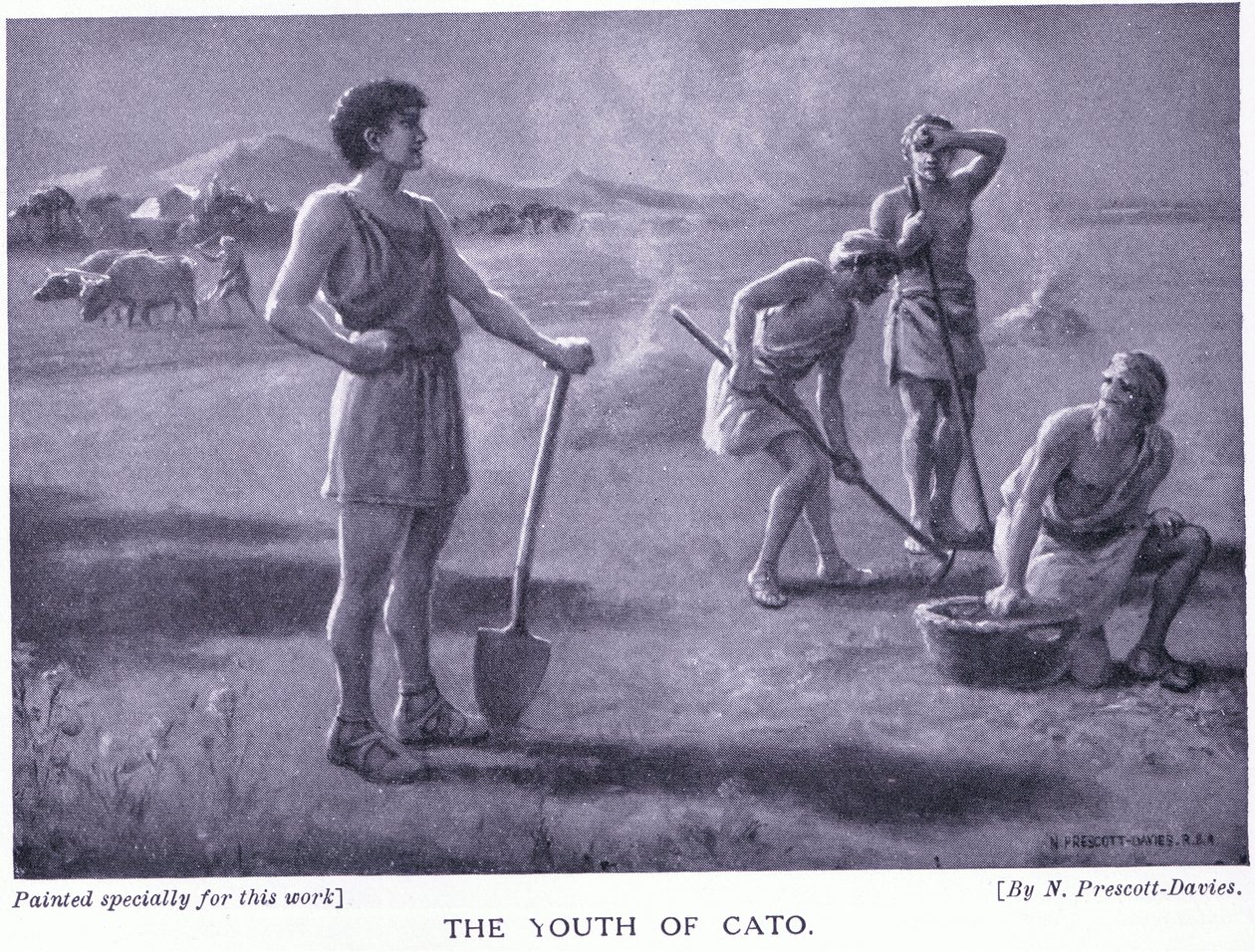 La juventud de Cato de Norman Prescott Davies