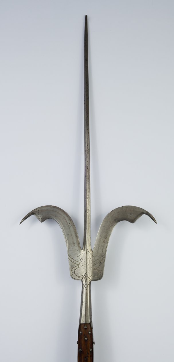 Lanza de Friuli, c.1600-20 (acero y madera) de Northern Italian School