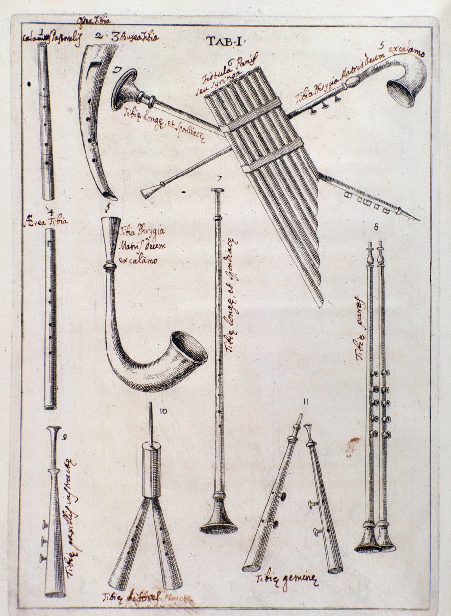 Instrumentos de viento. Página de "de Tribus Generibus Instrumentorum Musicae Veterum", obra sobre instrumentos antiguos de Francesco Bianchini de Northern Italian School