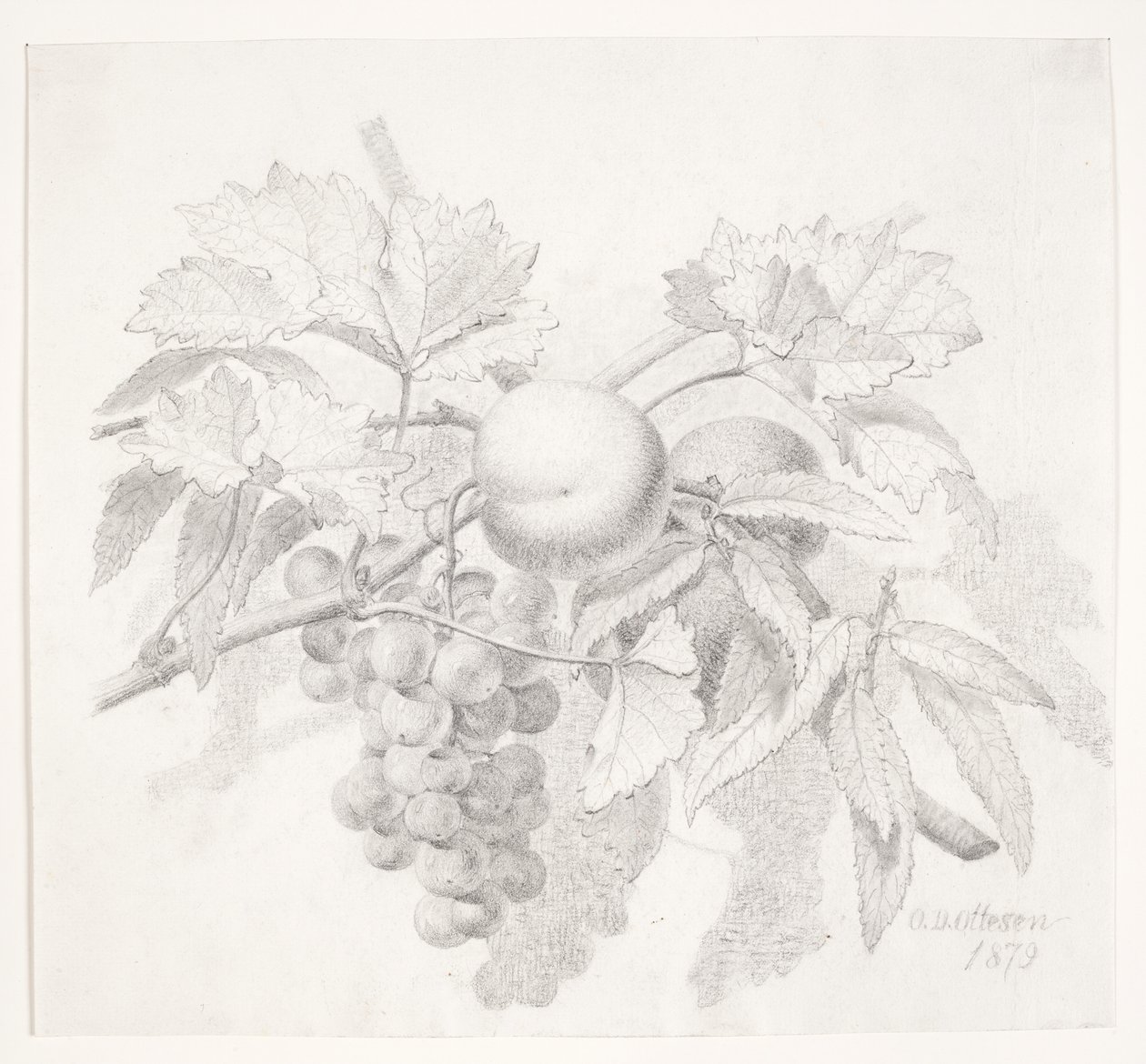 Uvas y melocotones de O.D. Ottesen