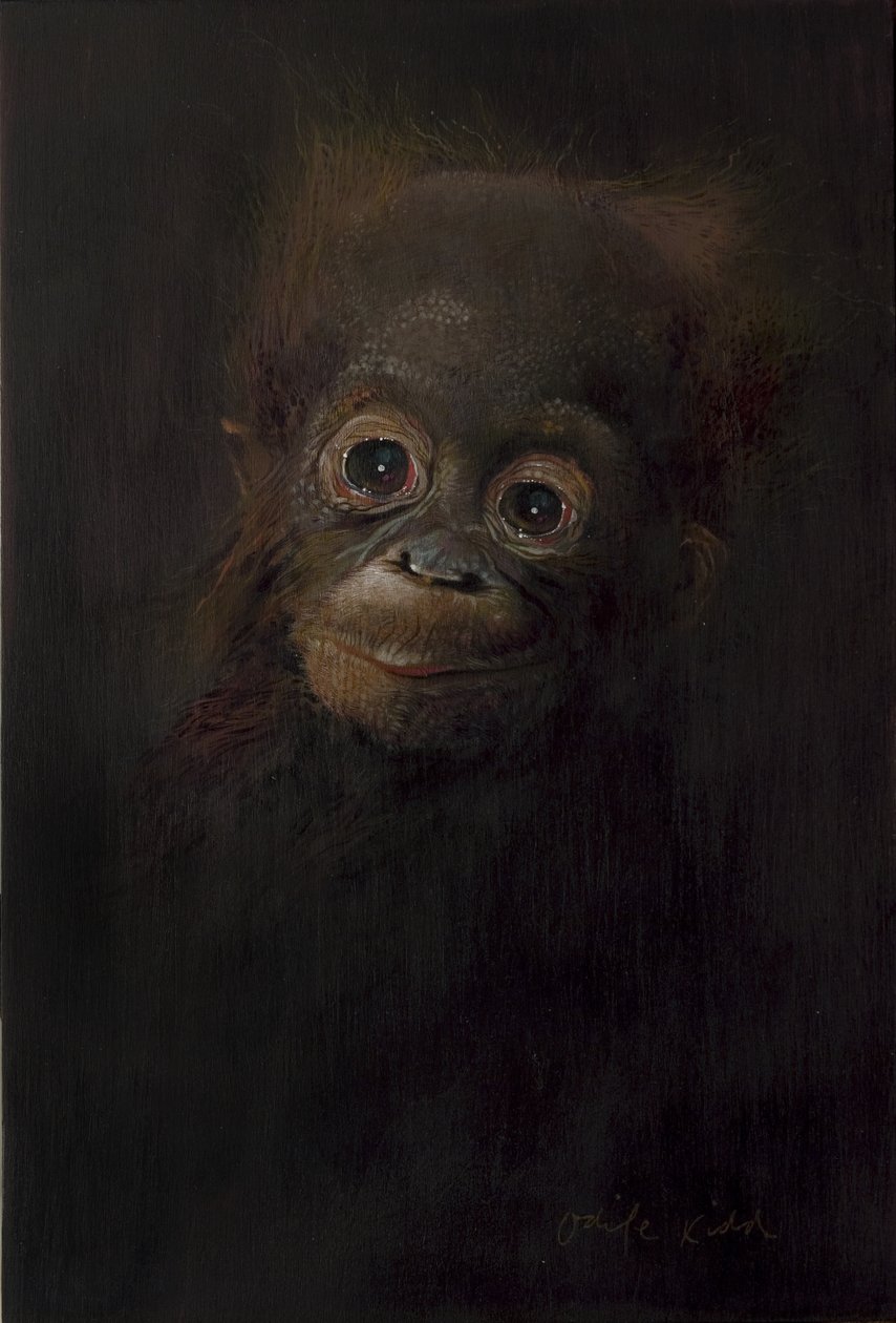Bebé orangután 1, 2009 (acrílico sobre madera) de Odile Kidd