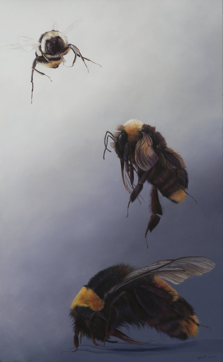 Bombus flight 2, 2011 (acrílico sobre madera) de Odile Kidd