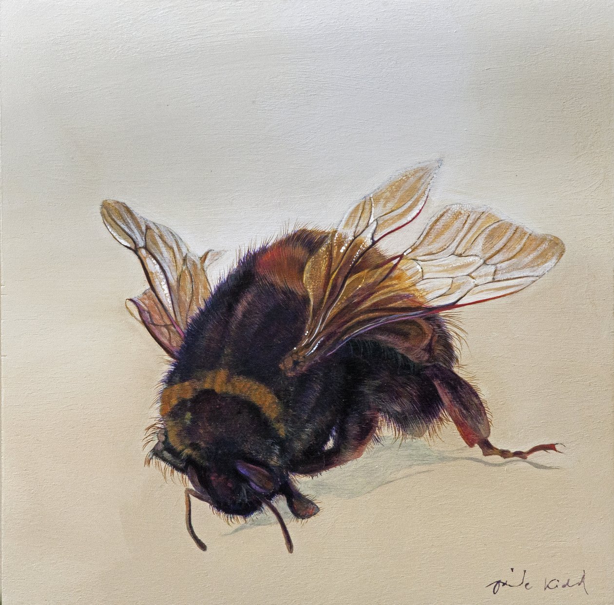 Bombus terrestris 10, 2013 (acrílico sobre madera) de Odile Kidd