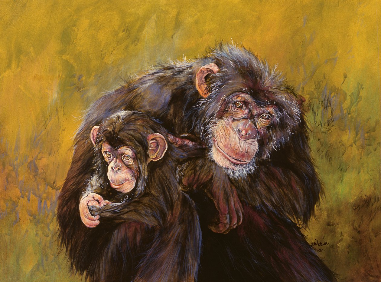 Chimpancés (acrílico sobre lienzo) de Odile Kidd