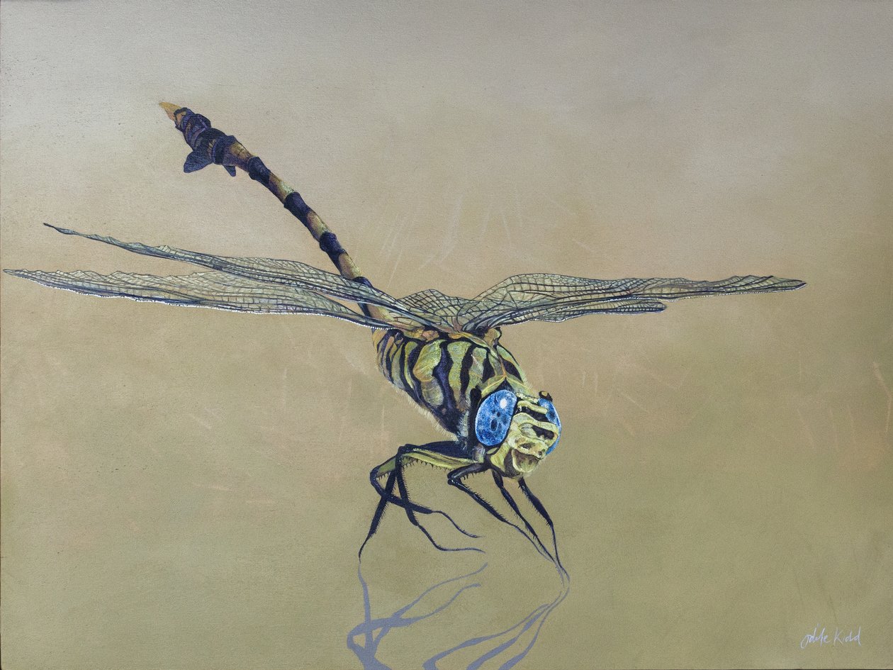Mosca de dragón, 2009 (acrílico sobre madera) de Odile Kidd