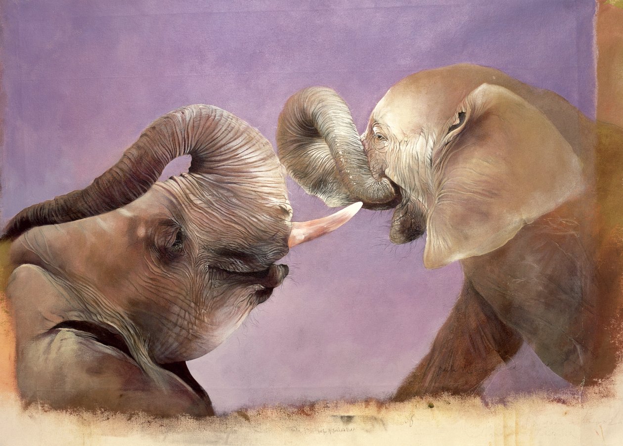 Elefantes jugando, 2001 (acrílico sobre lienzo) de Odile Kidd