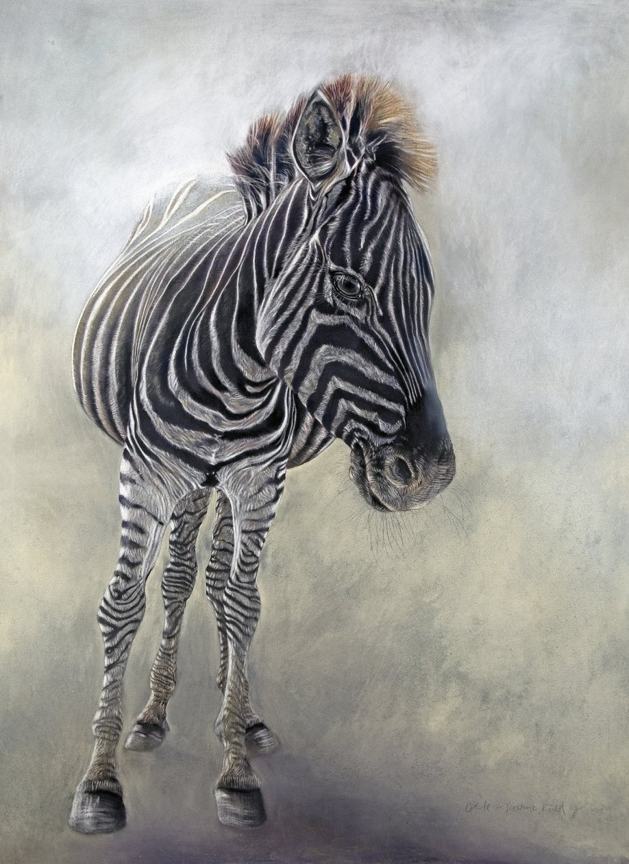 Equus burchelli 1, 2009 (carboncillo, conte y pastel a la tiza sobre papel Bockingford) de Odile Kidd