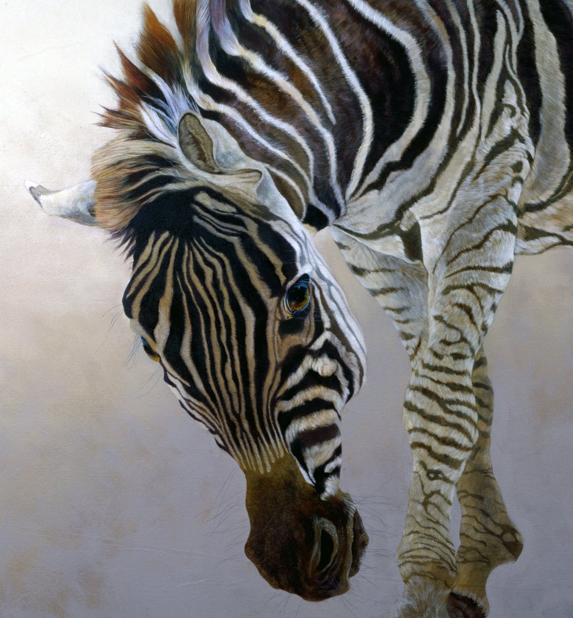 Equus burchelli 2 (detalle), 2010 (acrílico sobre lienzo) de Odile Kidd