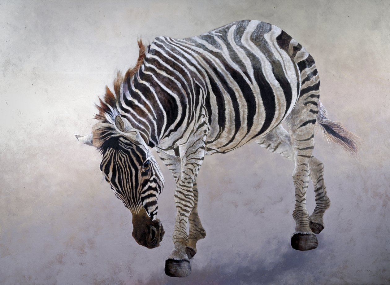 Equus burchelli 2, 2010 (acrílico sobre lienzo) de Odile Kidd