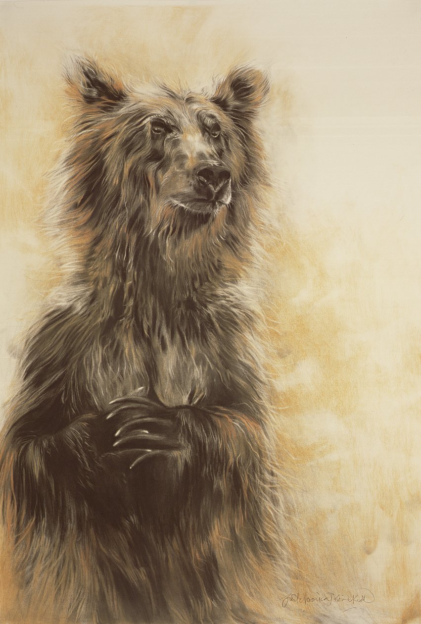 Grizzly Bear 1, 2002 (lápiz carbón, carboncillo y tiza) de Odile Kidd