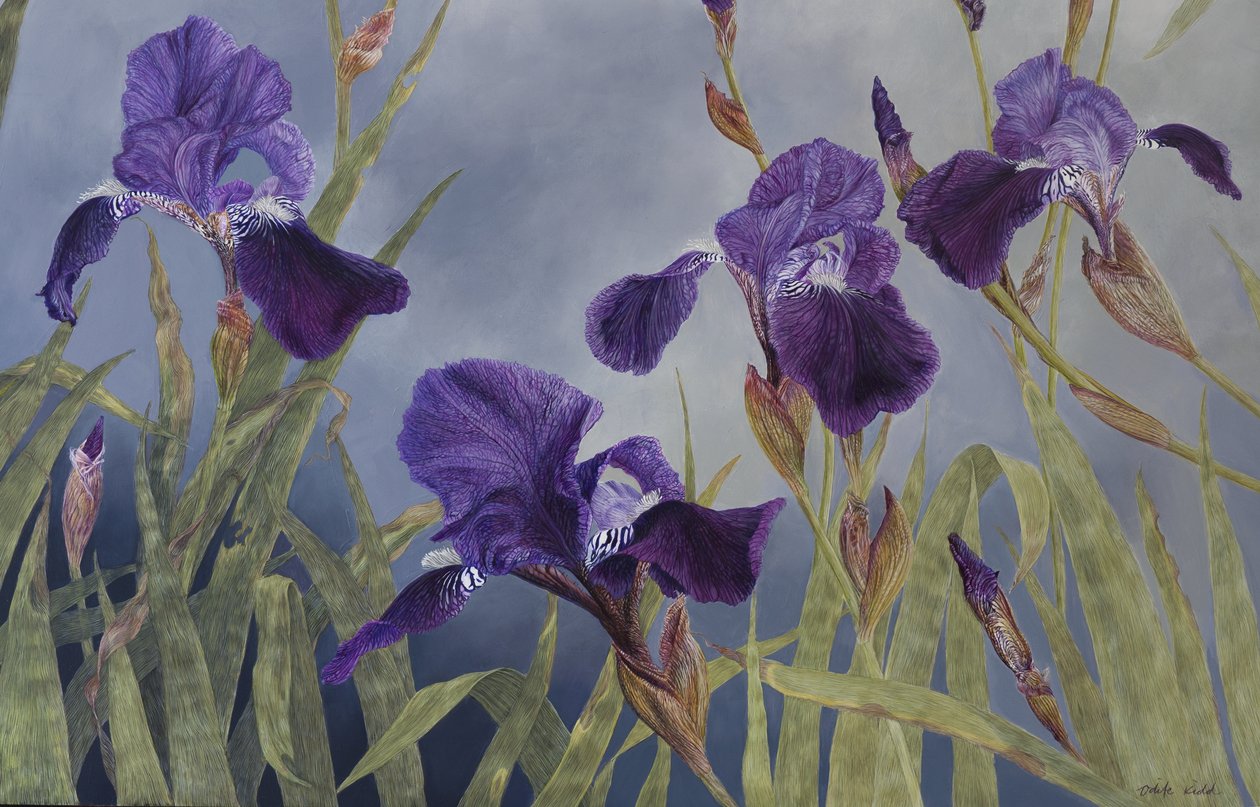 Iris hybrida (detalle), 2015 (acrílico sobre madera gessoed) de Odile Kidd