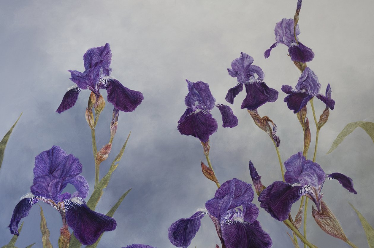 Iris hybrida (detalle), 2015 (acrílico sobre madera gessoed) de Odile Kidd