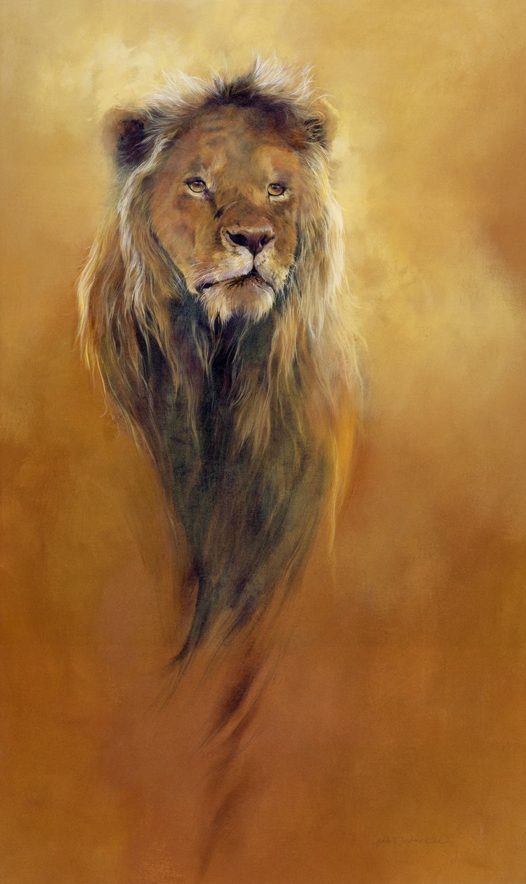 King Leo, 2000 (acrílico y lápiz de color sobre lienzo) de Odile Kidd