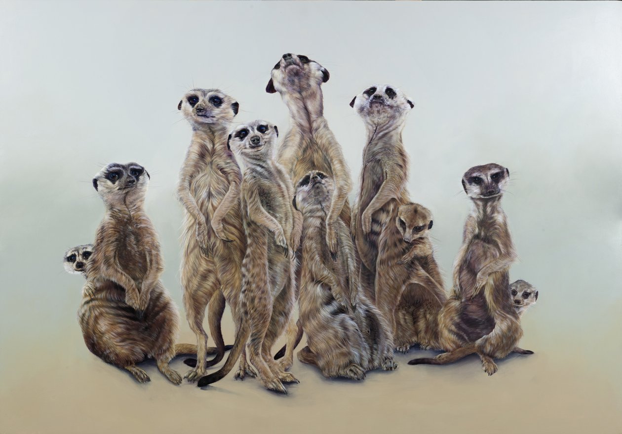 Turba de suricatas, ángeles del sol, 2013 (acrílico sobre madera gessoed) de Odile Kidd