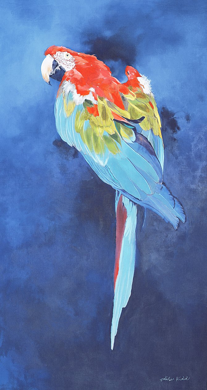 Guacamayo rojo y azul, 2002 (acrílico sobre lino) de Odile Kidd