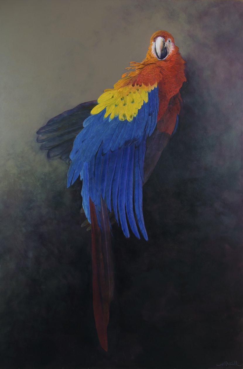 Guacamayo escarlata 3, 2014 (acrílico sobre lino) de Odile Kidd