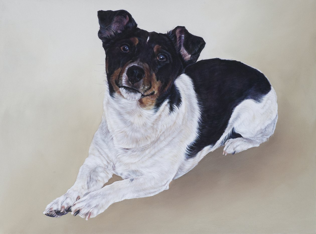 Spike, 2012 (acrílico sobre madera) de Odile Kidd