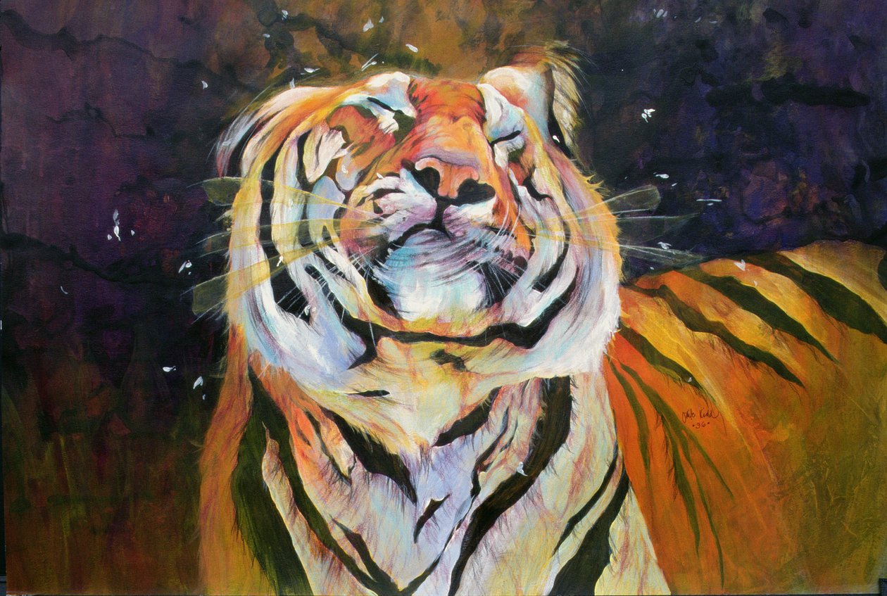Tiger (Shaking Head) 1996 (tintas, acrílicos y lápiz sobre papel) de Odile Kidd