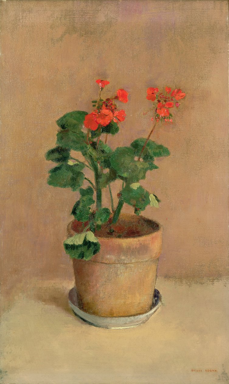 Geranios en una maceta, c.1905 de Odilon Redon